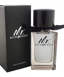 BURBERRY MR. BURBERRY EDT (M) 100ML